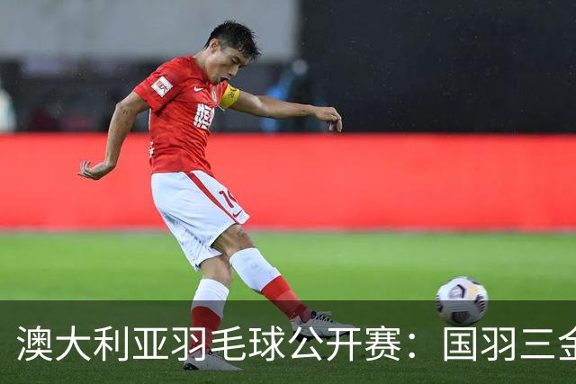 澳大利亚羽毛球公开赛：国羽三金两银收官